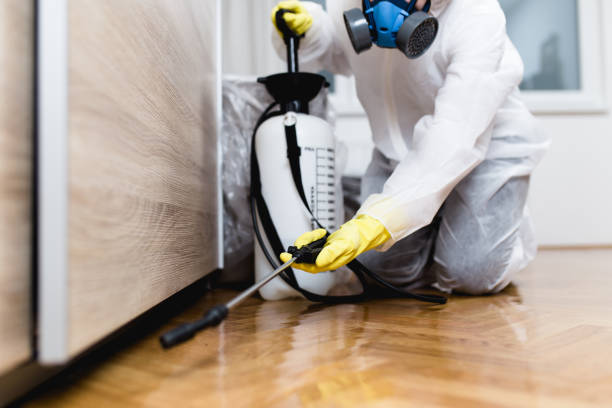 Best Rat Extermination Near Me  in Thompson, ND