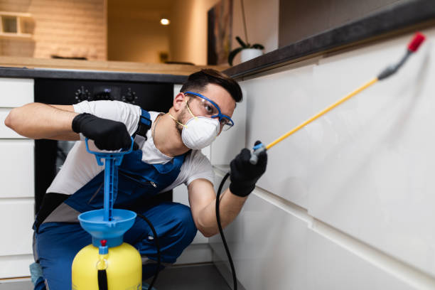 Best Wildlife Control Services  in Thompson, ND