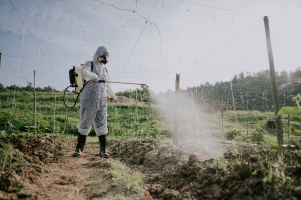 Best Affordable Pest Control Services  in Thompson, ND