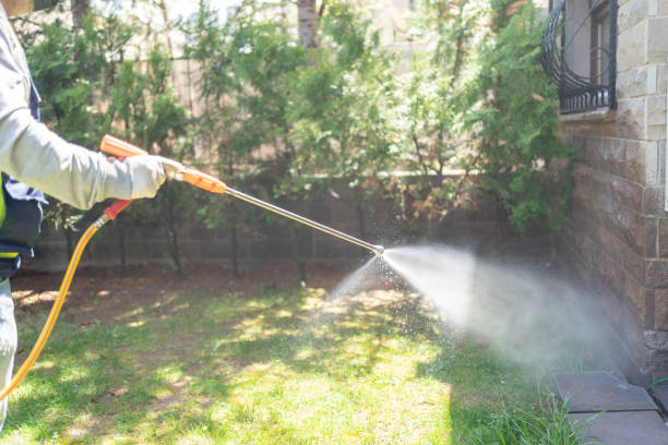 Best Insect Control  in Thompson, ND