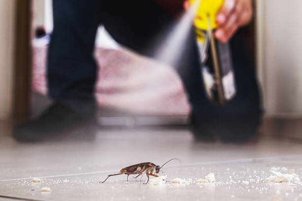 Best Affordable Pest Control Services  in Thompson, ND
