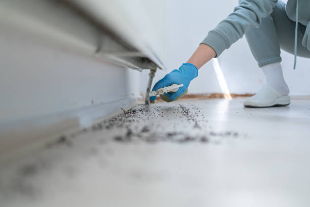 Best Best Pest Control Companies  in Thompson, ND
