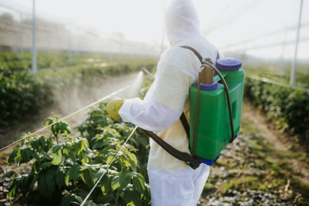Best Bed Bug Extermination  in Thompson, ND